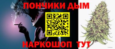 прущие грибы Краснокаменск