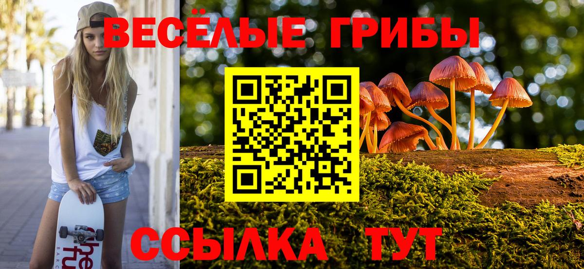 Донецк  купить наркоту  Псилоцибиновые грибы Cubensis  Вход с VPN  Псилоцибиновые грибы Psilocybine cubensis 